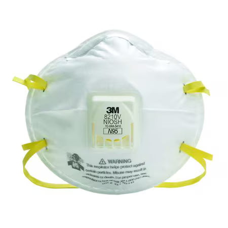 3M N95 Disposable Respirator